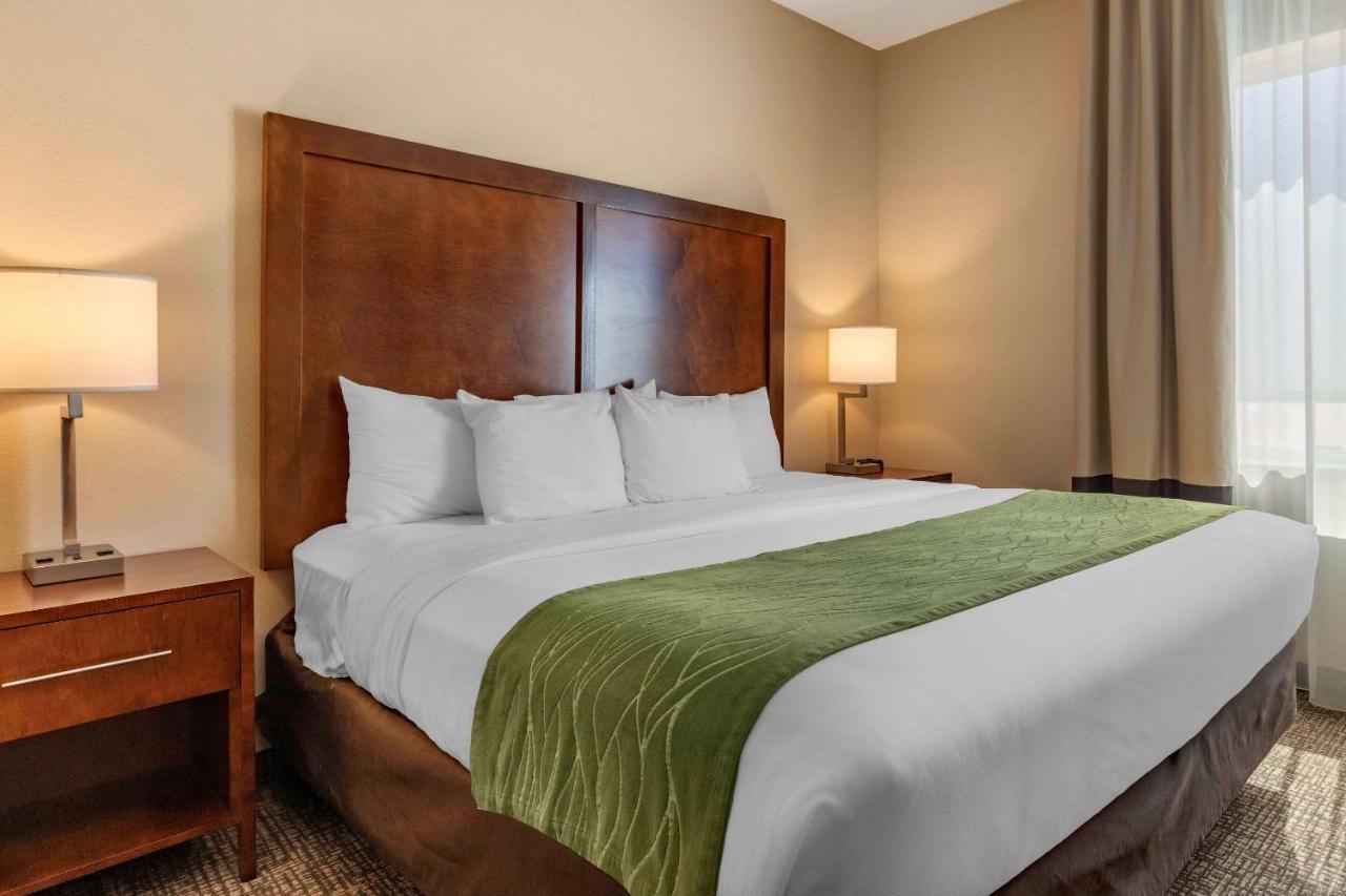 Comfort Inn & Suites Edgewood Kültér fotó