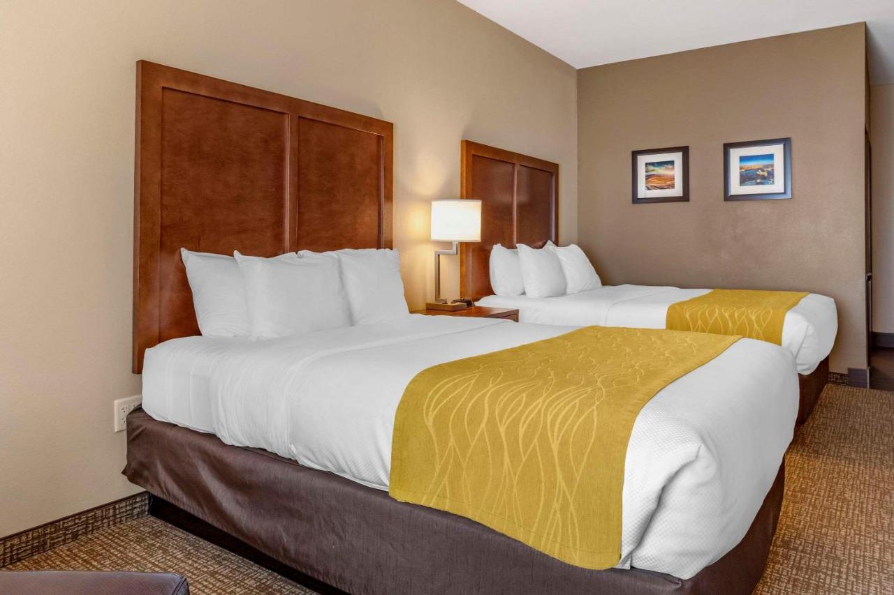 Comfort Inn & Suites Edgewood Kültér fotó