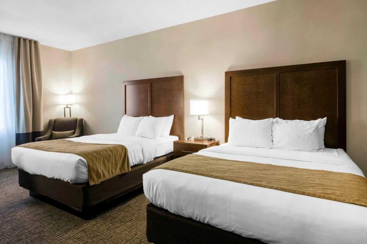 Comfort Inn & Suites Edgewood Kültér fotó